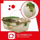 GYM500 Running Wheel : Nouvel enrichissement Tecniplast spécialement conçu pour promouvoir l'activité volontaire des souris dans les IVC